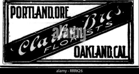 . Les fleuristes [microforme] examen. La floriculture. 64 La revue Dkcbmbbr^ Fleuristes 3, 1914. Fleuristes au détail de détail de premier plan dont les fleuristes Fhc cartes apparaissent sur les pages contenant cette tête, sont prêts à remplir les commandes des autres fleuristes pour la livraison locale sur la base d'habitude, si vous souhaitez être représenté dans cette rubrique, c'est le moment de passer votre commande. SAN FRANCISCO Podesta Baldocchi &AMP ; 224 avenue Qrant invite et une attention particulière à l'orden froiD dehors-de-ville fleuristes. San Francisco, Cat. Pelicano, Rossi &AMP ; Co. Kearny Street 188-186 PAR WOLFSKILLS TELEQRAPH FLEURS' et MORRIS GOLDENSON Banque D'Images