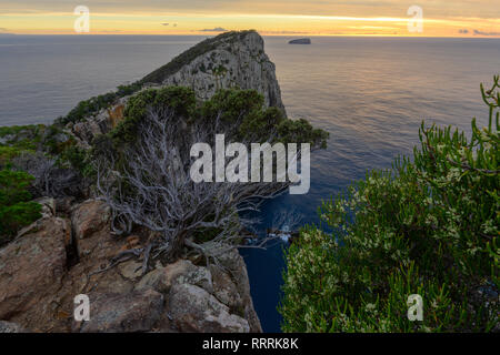 L'Océanie, l'Australie, de l'Australie, la Tasmanie, la péninsule de Tasman, Tasman National Park, Cape Français Hauy, Banque D'Images