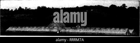 . Les fleuristes [microforme] examen. La floriculture. Gamme de A. B., n° Knowltoti Grafton, Massachusetts), consacré à la culture de qualité élevée d'oeillets. N° 13 Kroeschell chauffe toute l'usine. Retrouvez ci-joint photo montrant une vue partielle de ma gamme qui vous sont libres d'utilisation dans le cadre de n'importe quelle publicité vous semble. En ce qui concerne le no 13. Kroes'chell Chaudière, nous sommes maintenant à l'utiliser pour la saison. llfth Plus nous l'utiliser le mieux nous plaît. Il a pris la place des quatre chaudières fonte"lors d'une grande économie de charbon et de travail. Peu importe le temps qu'il est en dehors de nous n'ont aucune difficulté à ce que je Banque D'Images