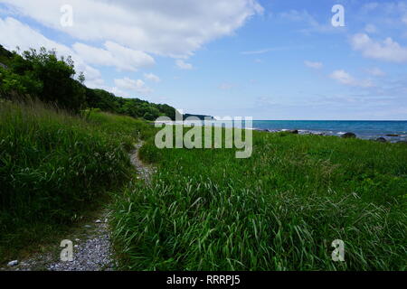 Chemin de randonnée sur l'île de Rügen, dans le nord de l'Allemagne Banque D'Images