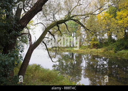 La rivière des Mille-Îles à l'automne, l'Île des Moulins, Vieux Terrebonne, Lanaudière, Québec, Canada Banque D'Images