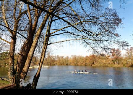 La Tamise à Weybridge avec rameurs récréatifs femme exerçant dans un quatre sans barreur aviron sous le soleil d'hivers jour, Surrey England UK Banque D'Images