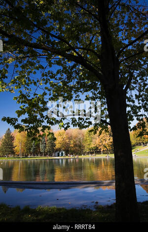 Du Lac des Castors - Beaver Lake au moyen d'une silhouette d'arbre à feuilles caduques dans le parc du mont Royal en automne, Montréal, Québec, Canada Banque D'Images