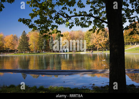 Du Lac des Castors - Beaver Lake au moyen d'une silhouette d'arbre à feuilles caduques dans le parc du mont Royal en automne, Montréal, Québec, Canada Banque D'Images