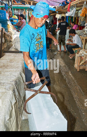 Puerto Princesa City, Palawan, Philippines - Le 25 février 2010 : Portrait d'un jeune travailleur sur le marché traditionnel de déménagement d'énormes blocs de glace sur le plancher Banque D'Images