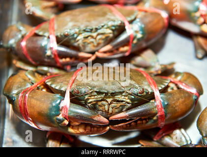 Close-up les crabes à la vente à la marché Klong Toey à Bangkok, Thaïlande. Ils sont encore en vie et attaché avec des cordes en plastique. Banque D'Images