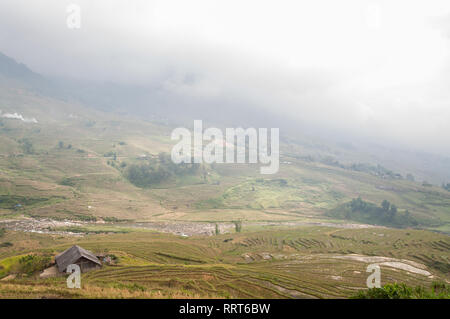 Collines en terrasses dans le brouillard, Sa Pa, Vietnam Banque D'Images