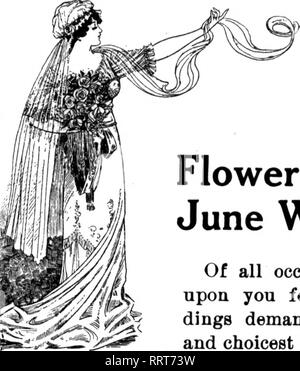 . Les fleuristes [microforme] examen. La floriculture. 24 L'examen Jbnb fleuristes 17, 1915. L'offre excédentaire et les prix sont bas. La qualité des roses a reçu, tout en n'étant pas jusqu'à la norme d'il y a plusieurs semaines, a été exoellent pour la période de l'année, à la suite de le temps frais. Les œillets n'ont pas connu une demande suffisamment importante au cours de la dernière semaine pour s'occuper des recettes, et les prix ont chuté en conséquence. La seule chose qui a contribué plus que tous les autres combinés pour la chute de l'œillet est la pivoine. Les Pivoines sont partout et pour presque n'importe quel prix Banque D'Images