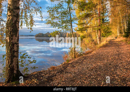 Vue panoramique du paysage d'Automne, couleurs de l'automne les arbres, l'eau bleu, arbre reflété dans le lac, les saisons changent, matin ensoleillé d'automne, automne, parc nature. Banque D'Images