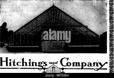 . Les fleuristes [microforme] examen. La floriculture. droite qu'une inquiétude^ vous pouvez mentionner. Cela peut sembler à vous comme souffle, mais ce n'est pas. Je suis tout simplement pour lui dire de vous que nos clients nous ont dit qui était celle des autres clients avant qu'ils étaient clients de la nôtre. À la résume à quelques mots, vous pouvez compter sur selon Hitchings. "Nous avons rendez-vous n'importe où des entreprises"- garder cela à l'esprit.. Le BUREAU DE NEW YORK de HiicKittfifs nrai OFHCE Niacick BOSTON JiIm BM|.. FeriirtI FMIORT 49 St.. ELIUBETN, N. J. Appuyez sur n'importe quel bureau de nilUOELPHU* PeMi. BM|., IStli Chestmit aai l'examen mention ist lorsque ljc bref Banque D'Images