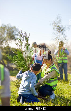 Bénévoles de la famille dans la plantation d'arbres sunny park Banque D'Images