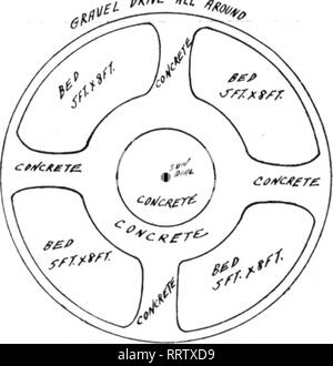 . Les fleuristes [microforme] examen. La floriculture. Pois de SCOBCHED LE FEUILLAGE. Je joins quelques pois doux et autres feuilles^ et certains insectes avec lesquels ils sont infestés, et voudrais savoir la cause de l'assèchement des feuilles. Si l'insecte qui cause ce problème, veuillez me dire les habitudes alimentaires de l'insecte et comment le détruire. J'ai utilisé pour la fumigation au bisulfure de carbone, et pensé que peut-être cela pourrait avoir causé la blessure. H. F. chaque année, et une application libérale de vache bien décomposé ou du fumier de cheval doit être appliquée. Dans votre cas, si la culture est un échec, je suggère que vous Banque D'Images