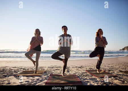 Les femmes sereine pratiquant le yoga posture de l'arbre sur la plage ensoleillée au cours de yoga retreat Banque D'Images