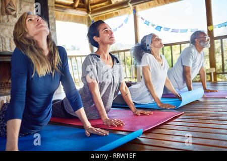 La pratique de groupe sereine du cobra posent en hut au cours de yoga retreat Banque D'Images