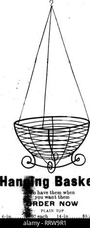 . Les fleuristes [microforme] examen. La floriculture. 8-en BASKCTS PENDAISON..$1,00;10-en..$1,25;12-en..$I.50;14-en.. 2,25 $ ; t6-in., $3.(" : 18-en.. S.i.OOpCrdoz. Qreen mousse feuille aux prix du marché. Des couronnes de porte unique, utilisé par tous les principaux fleuristes, 10-in., oc ; l2-in" 4c ; 14- in., 5c ; 16-pii...t)c : l^Ai.. 7&lt;Jt20-in., 9ch. Tous les travaux réalisés sur le fil e ma propre usine. Pour envoyer un catalogue. Donnez-nous votre prochaine commande. Les envois de fleurs coupées sollicité. Déclaration à vérifier chaque semaine. E. G., GIUETT FlorlsL 181 gros E. 8r4 St., Cincinnati (Ohio), mentionner le r"Tiew quand vous écrivez. SPSCIAL AVIS À L'AMER Banque D'Images