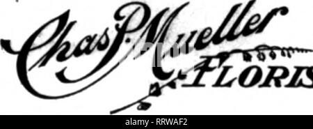 . Les fleuristes [microforme] examen. La floriculture. 41 RUE DU NORD PHELPS FLORAL STUPPY CO. Ordres exécutés au Missouri, l'Iowa, le Kansas et le Nebraska. JOSEPH, les fleuristes Membres Ve Prestation Télégraphe Seattle, Washington Hollywood Gardons 1534 Second Avenue ?EHBEB TKLEGBIPH DILITIBT8 LES FLEURISTES Floral Tonseth Co. 188 6ème rue Portland Oregon mS*" pour la livraison du Wisconsin off "Les Fleurs" 0"t en contact avec J. E. GOLDMAN JONES FREDERICKS, Sheboyiran Wisconsin toujours tfie quand wcitiag* Examen fleuristes annonceurs.. LORJST KANSAS Producteur de fleurs Chat Choix. Membre du Teleeraph DellTe pour Fleuristes Banque D'Images