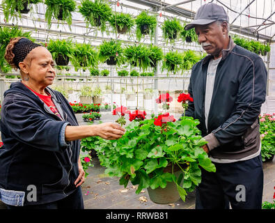 Mets de New York Hall of Famer Cleon Jones, droit, examine un begonia avec sa femme, Angela, Février 19, 2019, dans la région de Theodore, Alabama. Banque D'Images