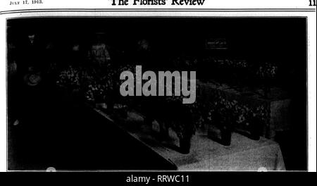 . Les fleuristes [microforme] examen. La floriculture. Ji !j,y 17, 1918. Les fleuristes^ l'examen. Rner UNE G)de l'exposition de l'Oregon, la société Pois de Portland^ 8 Juillet. pois de maladies que si nous serions- lieve tous nous avons lu sur le sujet, l'époque de l'pois doux sont numérotés. Maintenant, pour ma part, je ne crois pas que c'est le cas, pour, après avoir été en contact avec les petits pois pratiquement toute ma vie, j'ai seulement observé des cas isolés de la maladie ; je n'ai jamais vu dans la forme d'un fléau. À cette époque, dans certaines sections de Pennsylvanie, nous perdons de gros plants, mais mon ob- réserves Banque D'Images