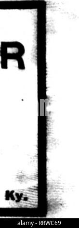 . Les fleuristes [microforme] examen. La floriculture. AUOU8T 13, 1914. L'examen pour fleuristes 81 HICfl-nillE LIQUIDE FCI" DOCUMENT DE PULVÉRISATION vaporisation de thrips-FUMIQATINa Demandez les semenciers pour•nufactMr ? ?"d par le produit du tabac Kentucky CQIiPAIIY* Incorporated, Louisville, Ky^ Mmtfon Earlww wfawi étain ljc écrire.. Veuillez noter que ces images sont extraites de la page numérisée des images qui peuvent avoir été retouchées numériquement pour plus de lisibilité - coloration et l'aspect de ces illustrations ne peut pas parfaitement ressembler à l'œuvre originale.. Chicago : les fleuristes Pub. Co Banque D'Images