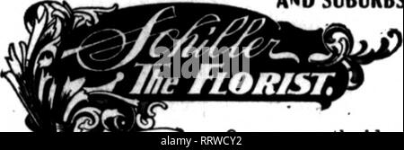 . Les fleuristes [microforme] examen. La floriculture. Junk 18, 1914. Le Horists' Review 45 litMtaiflirials les fleuristes au détail de premier plan dont l'ards apparaissent les pages cirryiac oa cette perle, sont prêts à remplir les commandes autres fleuristes de fröa oa pour la livraison locale la base. Si vous souhaitez être représenté sous cette headinc, c'est le moment de passer votre commande. Envoyez vos commandes à Chicago"" William J. Smyth Iflember* Fleuristes Teles:raph Association Livraison. Michigan Ave., à 31e le nnexoelled faclUtieB Saint de la société WIENHOEBER Ernst ore disponible à l'échange pour filllns tout ordre k Chicago East 22 Dm Stra Banque D'Images