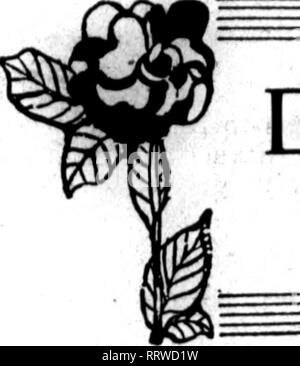 . Les fleuristes [microforme] examen. La floriculture. ^TT 3H| PLAT.-^^.' je V ? ? .V -^V Jui-v 10, 1913. Les fleuristes^ l'examen. Boîtes de Dollar et sg Mf Soldes d'été. Veuillez noter que ces images sont extraites de la page numérisée des images qui peuvent avoir été retouchées numériquement pour plus de lisibilité - coloration et l'aspect de ces illustrations ne peut pas parfaitement ressembler à l'œuvre originale.. Chicago : les fleuristes Pub. Co Banque D'Images