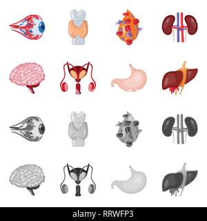 Globe oculaire,,dorsale,sang,rein,cerveau estomac foie,urinaire,,eye,plasma,spinal,esprit,system,tube,cornée,os,cell,renseignement,haricots,excrétrice,corps gastrique,muscle,couches,couvrir,transplant,science,vessie,la douleur,la biologie,structure,scientifique,recherche,de,laboratoire d'organes internes,anatomie,médical,des,santé,,set,icône,,illustration,collection,isolé,design,graphisme,élément vecteur vecteurs,signer , Illustration de Vecteur