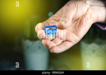 Woman hand holding a small bleu voiture fusible avant de les introduire de fusibles closeup shot Banque D'Images