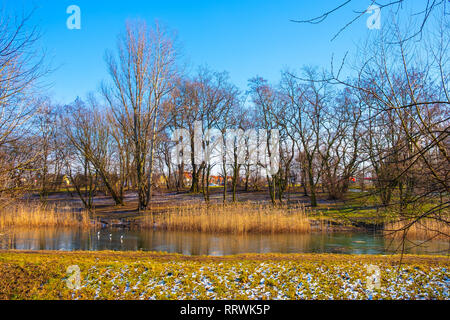 Varsovie, Mazovie / Pologne - 2019/02/23 : Dolina Sluzewiecka valley et du parc public à Varsovie le long du ruisseau Potok Sluzewiecki au début de printemps. Banque D'Images