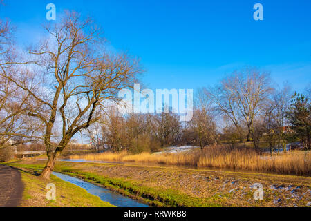 Varsovie, Mazovie / Pologne - 2019/02/23 : Dolina Sluzewiecka valley et du parc public à Varsovie le long du ruisseau Potok Sluzewiecki au début de printemps. Banque D'Images