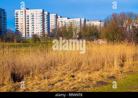 Varsovie, Mazovie / Pologne - 2019/02/23 : Dolina Sluzewiecka valley et du parc public le long de la creek avec Sluzewiecki Potok Mokotow et Sluzew nad Dolinka Banque D'Images