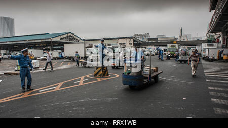 Vieux Marché aux poissons de Tsukiji, Tokyo, Japon. Banque D'Images