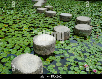 Stepping Stones à Kyoto, au Japon. Banque D'Images