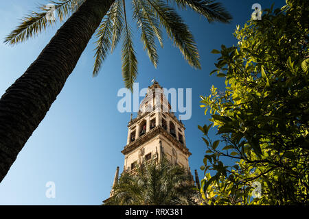 Torre de Campanario avec palmier Banque D'Images