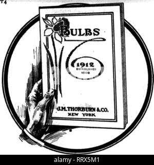 . Les fleuristes [microforme] examen. La floriculture. Seul forcer les jacinthes rouge, rose, blanc, bleu clair, bleu foncé, par 100. 98,00 ; 1000, $87.00. Jacinthes nommé Cardinal rouge, Wiseman, gigantea, Gertrude ; Blanc, Mme. Vander Hoop ; bleu, roi de blues, la Peyrouse, le Tsar Pierre, deuxième dimension, par 100, 4,60 $ ; 1000. 40 $. Narcisse princeps, par 100, $1.00 ; 1000. $8.00. Trompette, p. 100. 1,00 $ ; 1000. 9,00 $. Victoria, seul le nez, par 100. 1,80 $ ; 1000. 18 $. Victoria, nez double, par 100, 1,76 ; lOOO, 16,00 $. Alba Plena odorata, p. 100, 76c ; 1000. $6.00. Tulipes unique par lOO lOOO Keiserskroon Banque D'Images