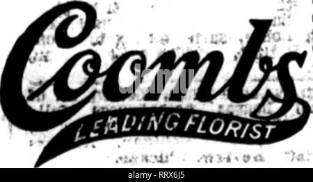 . Les fleuristes [microforme] examen. La floriculture. PHEEPS Seattlfe 41 RUE DU NORD, W^shfngfon HoHywQOfi SBCONDAVBNUB^153 jardins 4 MEIttftS TL0BT9TS' tEIJE:6BAf&gt;Ji Un OlUtlBt cette carte S12^ Ooaia imv que trop nous"k sur Tearlr woald Il commande garder quatre nom et vos installations avant le wliol" trade&gt ; une carte d'halfilDOlii coets seulement 86c par semaine sur TQfirly l'ordre. 188-Sixième rue détaillants ' riHiii^^ DI ST. LOUIS ; ' ?  ? ? . •* Le marché du sud-ouest. Le marché a montré beaucoup d'activité la semaine dernière, certains jours bein^r^ au sol. La fourniture de stocks n'était la^ge et toutes les commandes ont été pourvus en totalité.- Le froid wa Banque D'Images