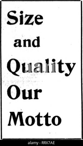 . Les fleuristes [microforme] examen. La floriculture. w7" • ^^^&gt;w•',je ? *"•• T :™ * '.  ? F '• .  ? Le 10 octobre 1912. Les fleuristes^ • Examen,. ?* -. ? ? • '/J "* ii*. Quelque chose Neiiv / / 10 000 FLEURS CHRYSANTHÈME PRÊTS À L'EXPÉDITION D'OCTOBRE À NOVEMBRE, IQTH ISTH 1912 Commandez maintenant et assurer une livraison rapide et première sélection Abbingdon Correspondance Entreprise Floral sollicité HUNTSVILLE, ALA. /. Veuillez noter que ces images sont extraites de la page numérisée des images qui peuvent avoir été retouchées numériquement pour plus de lisibilité - coloration et l'aspect de ces illustrations ne peut pas parfaitement ressembler à t Banque D'Images