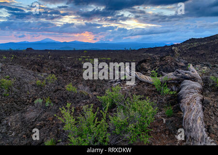 Amérique du Nord, Amérique, USA, American, New York, Central, Lava Butte, Monument Volcanique National Newberry Banque D'Images