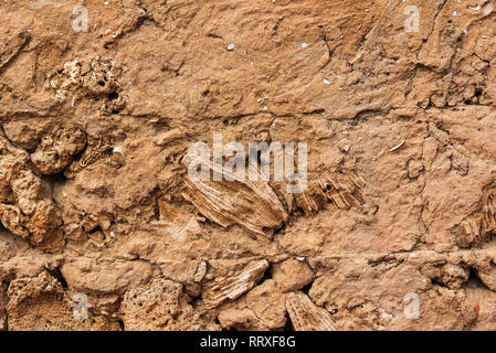 Mur en terre arabe Vintage dans le désert faites avec plage des roches et pierres de corail Banque D'Images