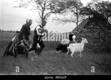 DER SCHIMMELREITER - vol de l'onde de tempête dans le film "version chimmelreiter, 10/1933, I.12/22-10 Schimmelreiter, vol Banque D'Images