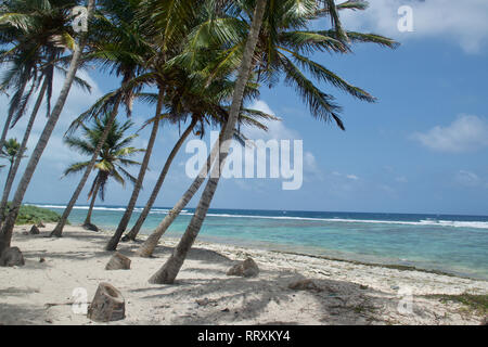 L'île de San Andrés, Colombie connu pour ses sept couleurs de la mer Banque D'Images