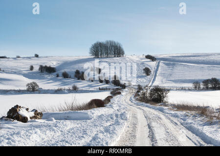 La neige a couvert Hackpen Hill dans la campagne du Wiltshire. Vaste Hinton, Wiltshire, Angleterre Banque D'Images