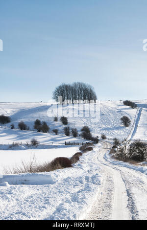 La neige a couvert Hackpen Hill dans la campagne du Wiltshire. Vaste Hinton, Wiltshire, Angleterre Banque D'Images