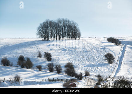 La neige a couvert Hackpen Hill dans la campagne du Wiltshire. Vaste Hinton, Wiltshire, Angleterre Banque D'Images