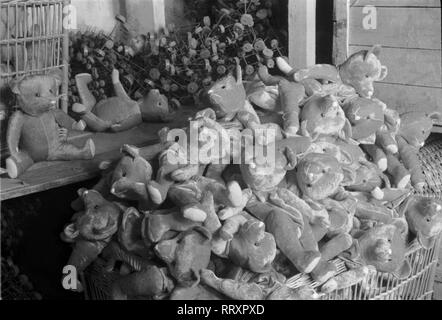 Allemagne - Deutschland ca. 1950, Thüringen, Teddys der Spielzeugfabrik à Sonneberg Banque D'Images