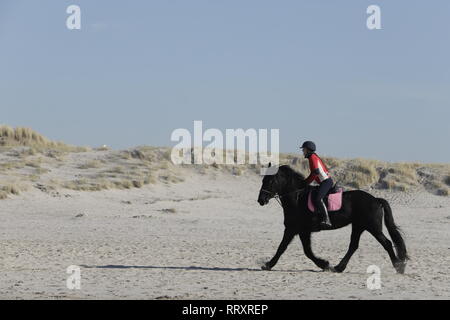 Femme aime à monter à cheval Banque D'Images