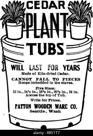 . Les fleuristes [microforme] examen. La floriculture. •R'-^^ FiBBUABT r'' 8. 1912. L'Weddy Rorists' Review, 66 SURPLUS DE STOCK 50 A-1 le Calceolaria, 2^-en 4 c chaque 50 Malacoldes 5 Primrose c chaque 600 Literie mixtes de géraniums, 3-ln.. 3 c chaque 200 Asparagus plumosus Plants . .2i2c chaque 300 Asparagus sprengeri Plants . .2 c chaque Satisfaction garantie, Cottige GKEENHOUSES LAHAP GME, Ore. mentionner l'examen lorsque vous écrivez. Plus QTTALITT "graines", Plints, bulbes et fournitures SloristB Oardeners* et le commerce des soUclted. Catalogue sur demande. leeaMsoMDar pobtlamd.., AMG. Mentionner l'examen lorsque Banque D'Images