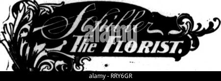 . Les fleuristes [microforme] examen. La floriculture. Des rLOBISTS. Cleveland J. J. Habermehl's Sons Les plus beaux arrangements floraux, plantes et flowera affamés sur ordres télégraphiques. Le Bellême Stratford. Walnnt Philadelphie et large rue. Lexington, KY. KELLER, riorlsf EUffh et Deaisnini Catégorie Fleurs coupées : S S T : mauvais pour nous entrosted les ordres de Central Florida -auront une attention particulière. KALAMAZOO, au Michigan. G. Van Bodwve &AMP ; Fr., "f'i,VsS" Siitftrd Fhwcr le Vassar College, Shtp Pwikkeejiw. TRILLOW DeslSSnTSwt N. Y. prendra rapidement exécuter tous les ordres dans ce ricinlty. BOSTON. E Banque D'Images