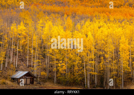 Chalet isolé dans les bois au Colorado Banque D'Images