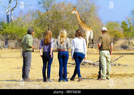 Nelspruit, Afrique du Sud - 03 juillet 2012 : les touristes en safari dans une réserve de chasse Banque D'Images