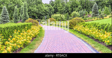 Un fragment d'un magnifique parc, un chemin avec des roses jaunes dans le Mezhigirye digestif près de Kiev, Ukraine. Banque D'Images